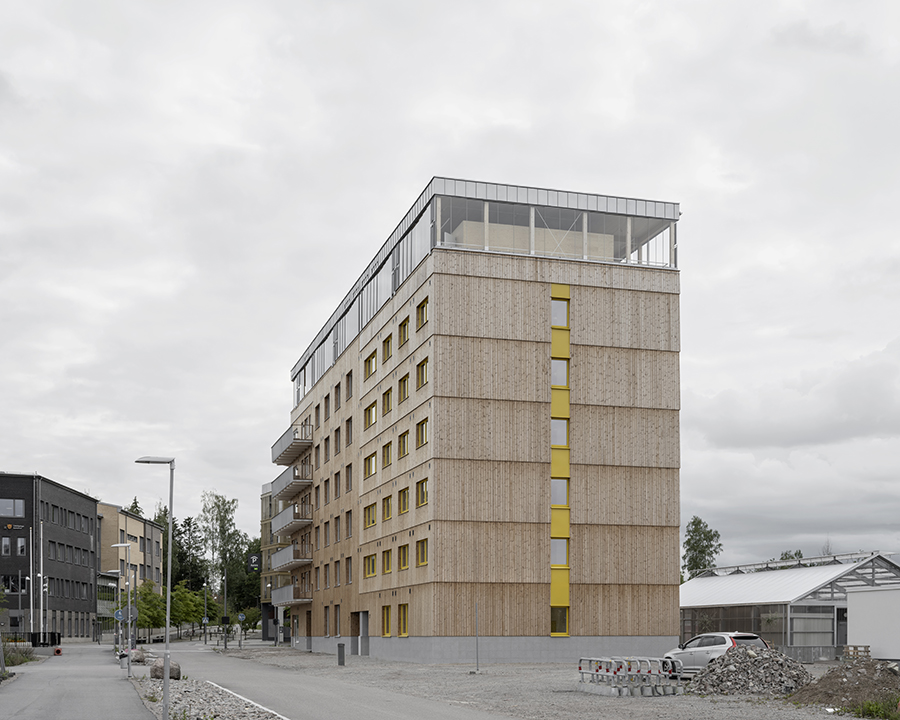 (photo: Johan Dehlin) (photo: Johan Dehlin)